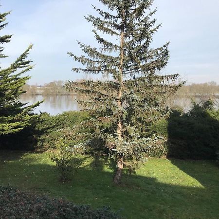 Une Nuit Sur Loire Treves-Cunault Buitenkant foto