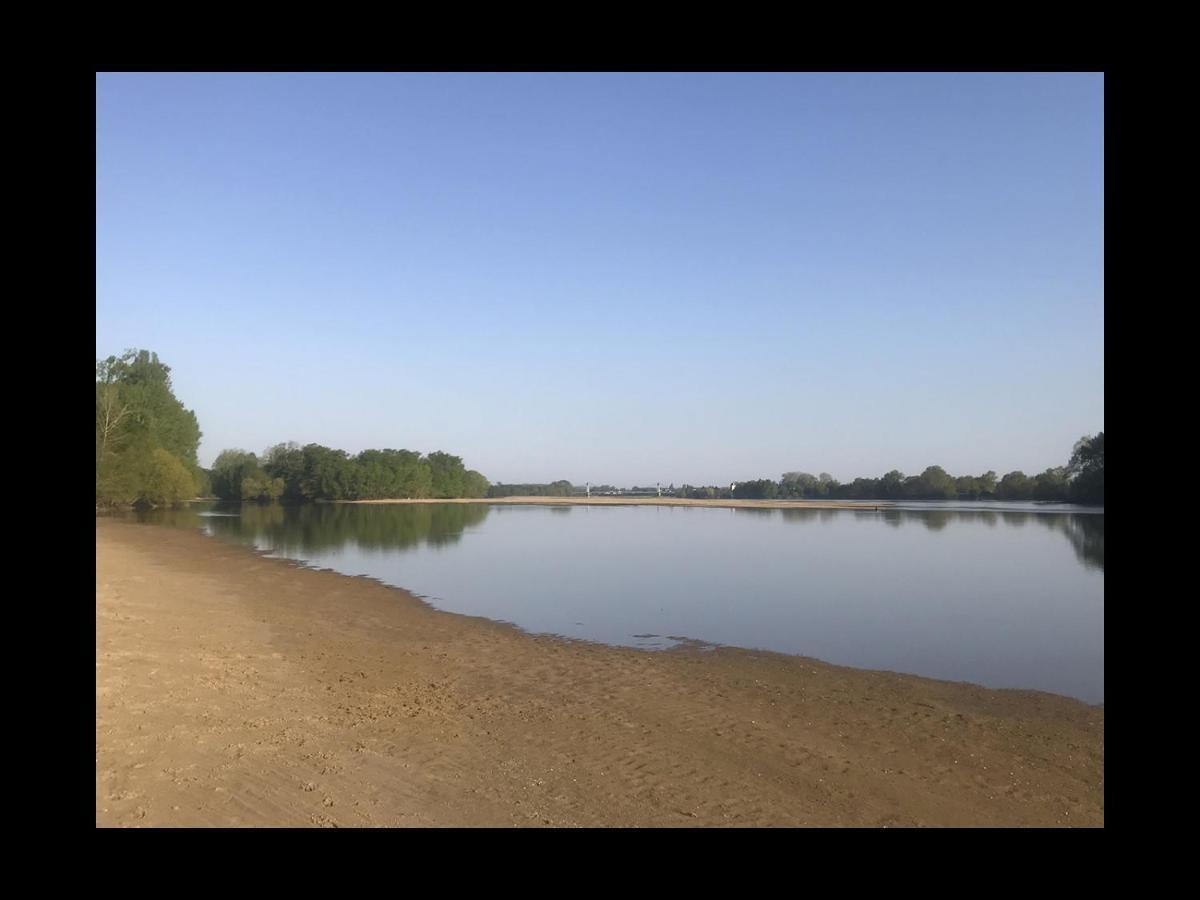 Une Nuit Sur Loire Treves-Cunault Buitenkant foto